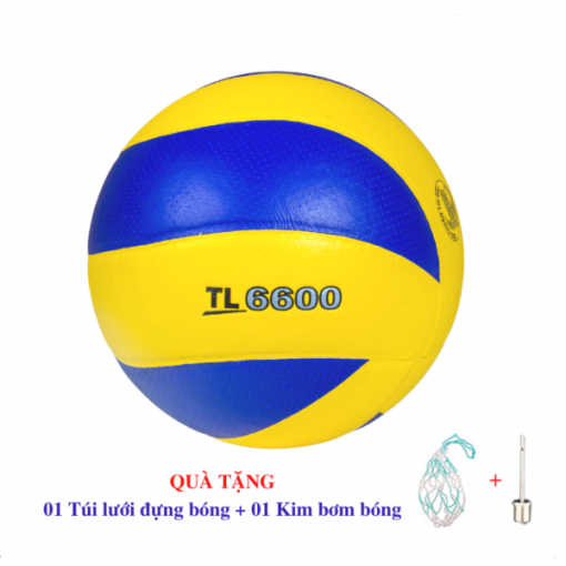 Bóng chuyền Thăng Long thi đấu VB6600