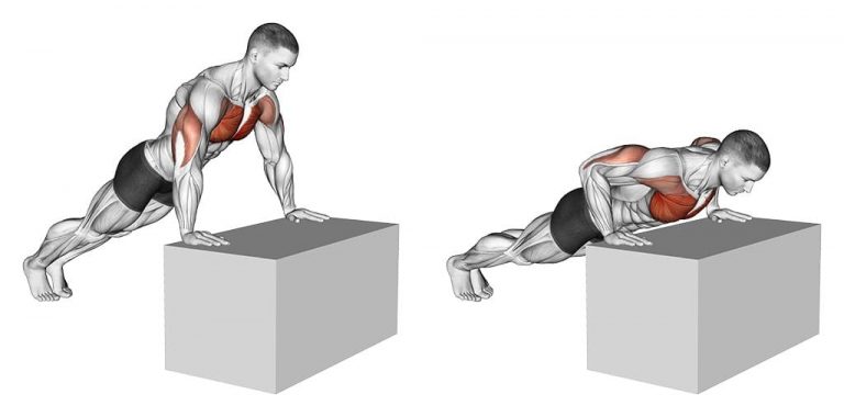 Chống đẩy trên bục ( Incline push-up )