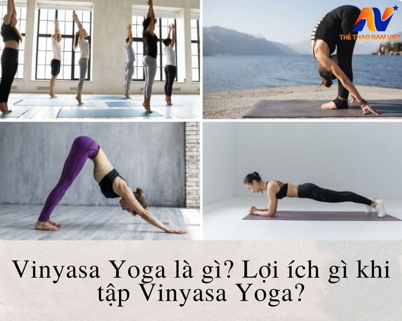 vinyasa yoga la gi