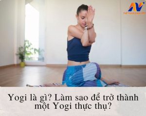 yogi la gi