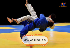 Judo là gì