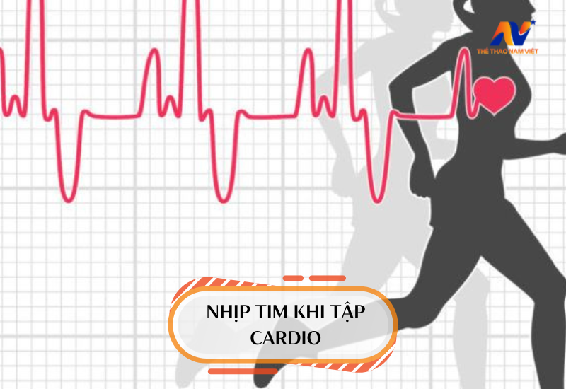 nhịp tim khi tập cardio