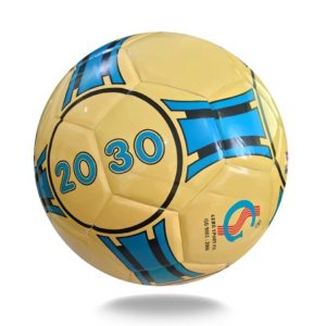 Quả bóng đá Futsal Gerustar 2030