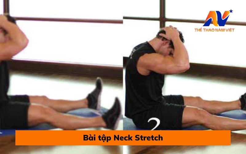 Bài tập Neck Stretch