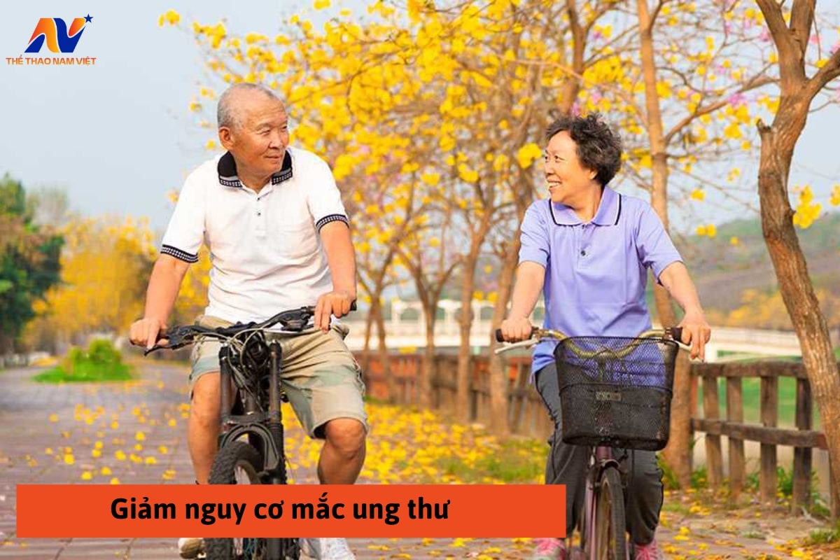 Người cao tuổi nên thường xuyên đạp xe để giảm nguy cơ mắc bệnh ung thư