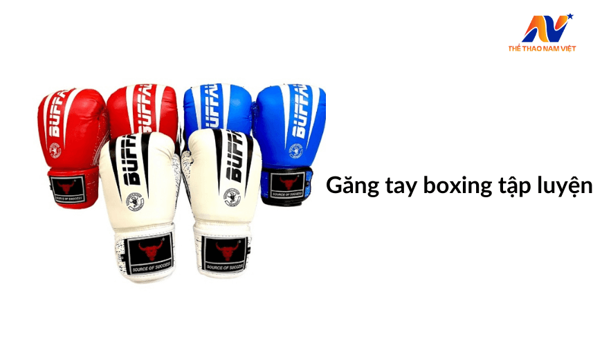 Găng tay boxing tập luyện