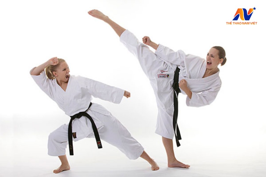 Hệ phái Wado-ryu Karate