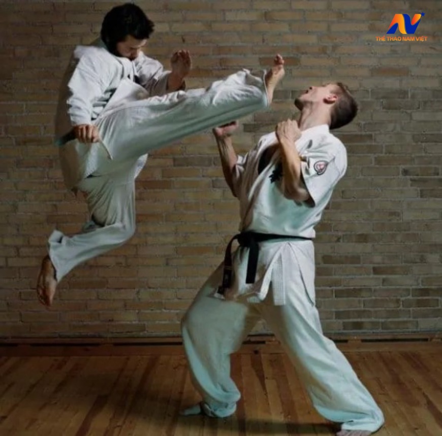 Shito-ryu Karate (Karate không thủ đạo) là 1 trong 4 hệ phái Karate lớn nhất hiện nay