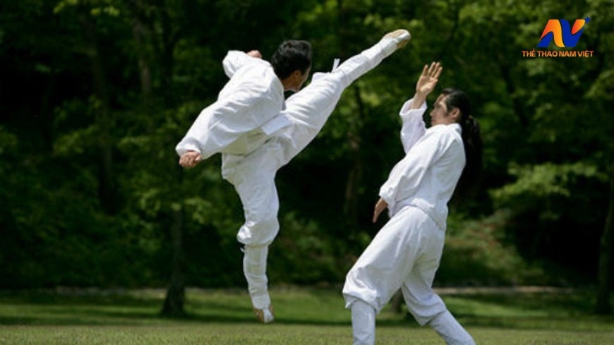Đặc điểm của võ Taekwondo
