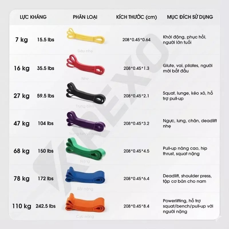 Dây Kháng Lực Powerband REXO KL1725 Dây Kháng Lực Powerband REXO KL1725