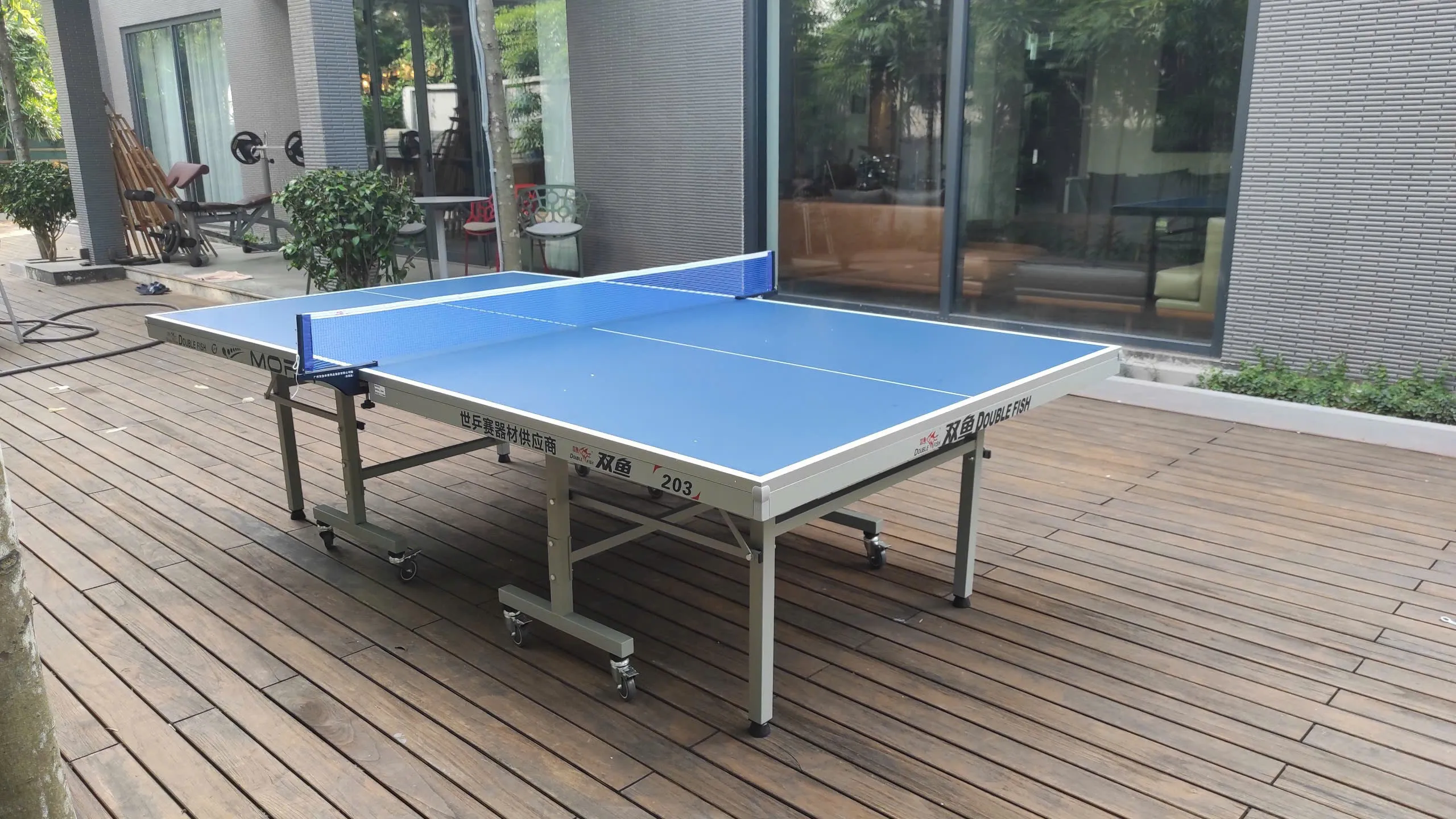 Bàn Bóng Bàn Double Fish 203M Hình ảnh thực tế bàn bóng bàn Double Fish 203-M2